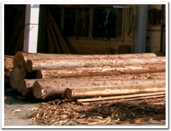 木材を市場より直接仕入れています。
